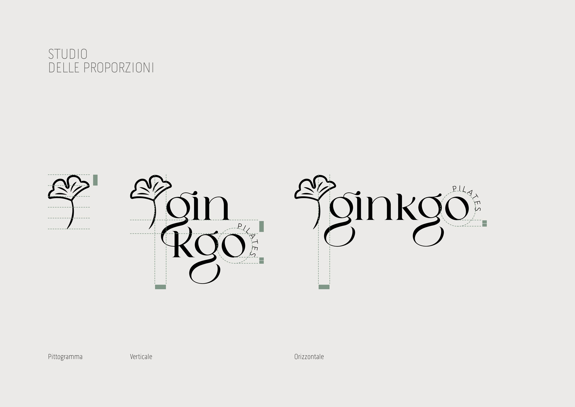 justnow-Ginkgo-05